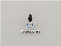 藏品(鞘翅目(2))的圖片